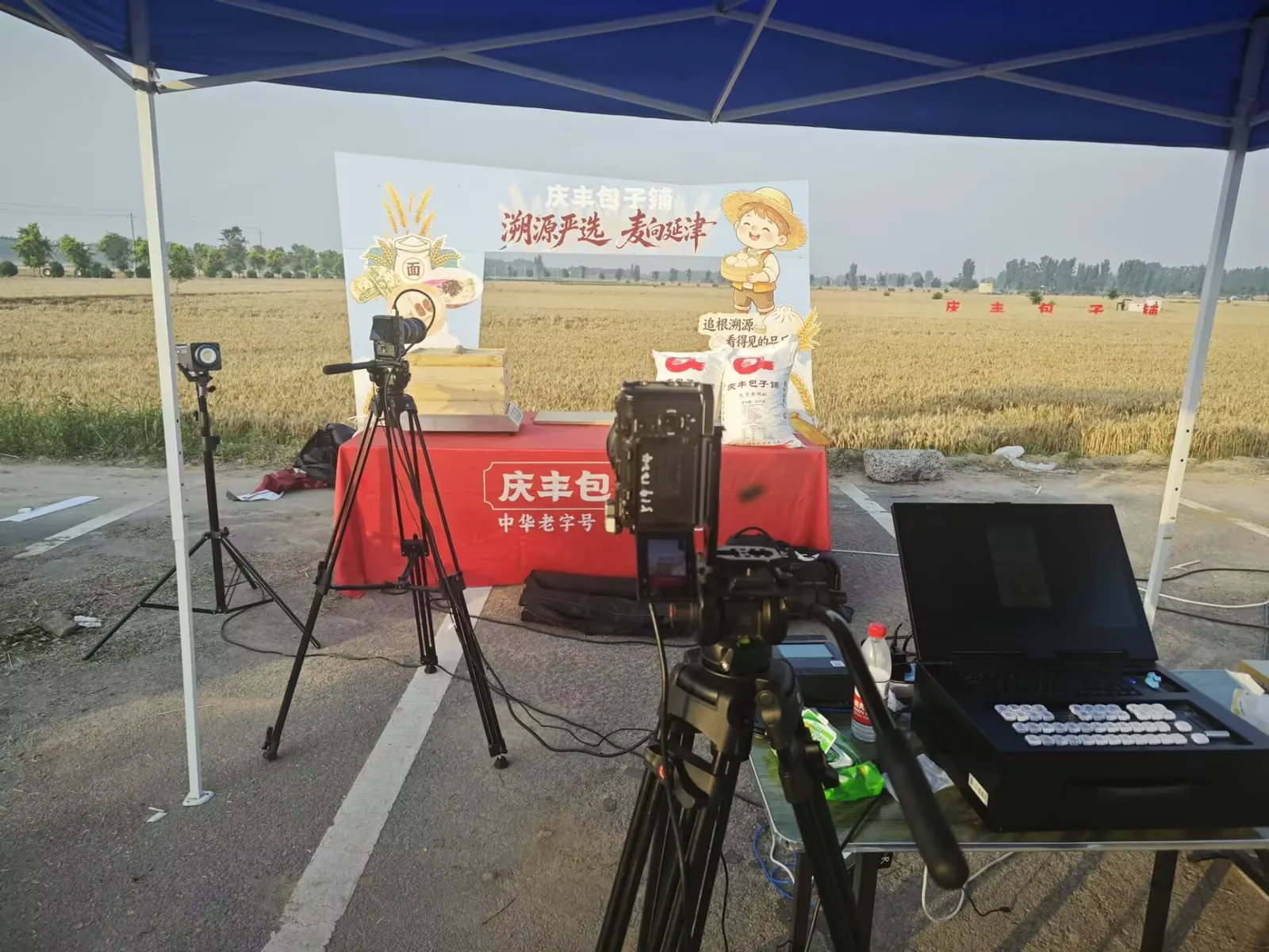 庆丰包子铺小麦产地直播现场实录图 1