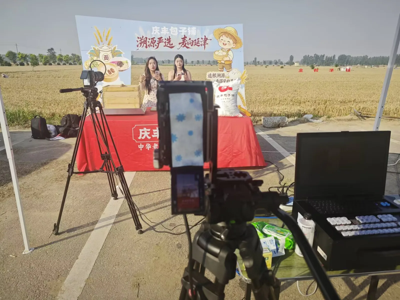 庆丰包子铺小麦产地直播现场实录图 2